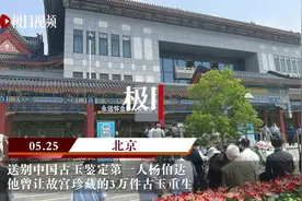 送别杨伯达：中国古玉鉴定第一人，让故宫珍藏的3万件古玉重生图片