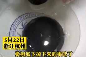 罕见！男子发现黑心鹅蛋：蛋是好蛋，怀疑是鹅吃多了桑葚图片