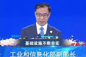 【数博会大咖说】工业和信息化部副部长刘烈宏：新进网5G终端将默认开启5G独立组网( SA)功能