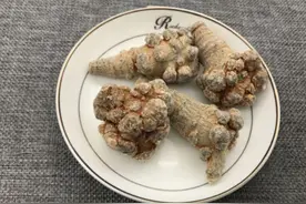 哪些人不宜吃三七？图片