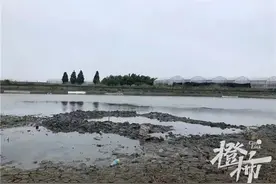 轰！天空掉下不明黑色物体坠入鱼塘，挖了1米多深还没挖到图片