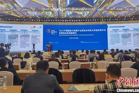专家：数字化转型数据必须要素化图片