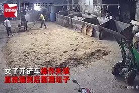 女子欲帮工人干活，开铲车操作失误直撞酒坛，酒喷撒而出满地都是图片