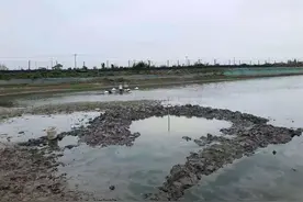 一声巨响！浙江嘉兴上空掉下不明物体，挖了1.5米深还没找到，当地已开始调查图片
