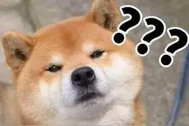 这个德州高中老师手绘漫画教数学！来，一起闯关图片