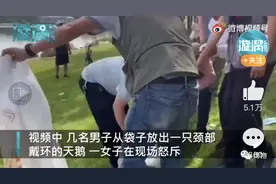 天鹅颈环戴了又拆？这操作给我看懵了图片