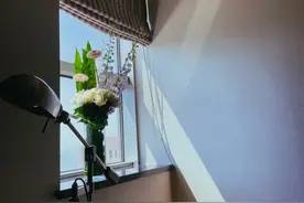 猜猜吃没吃？肖战晒照纠结吃不吃面包，搞笑称：不吃了不吃了不！吃了图片