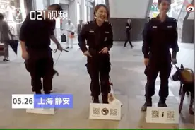 扫码就能摸警犬，居然有这种好事？图片