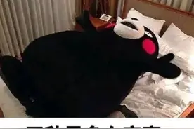 恋上当红男星，黑龙江大妈要赴京“寻夫”图片