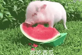 “瓜奶奶”吴明珠，夏天全靠她的西瓜续命图片