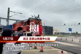 汉正街“跨境电商出口海外仓”物资首乘中欧班列前往欧洲图片