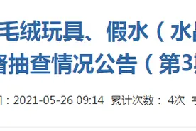 江苏省南通市市场监管局发布2021年塑胶玩具、毛绒玩具、假水（水晶泥）产品质量市级监督抽查情况图片