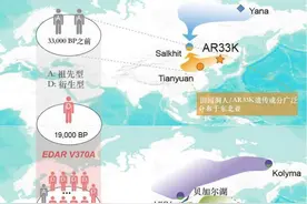 东亚人群如何适应“冰河时代”？中国科学家解析遗传图谱和基因演化图片