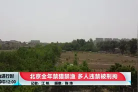 北京一男子竟然张开十米大网捕猎野生鸟类，森林公安出手了图片