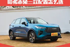 主推1.5T黄金兔 哈弗赤兔的购车手册来了图片
