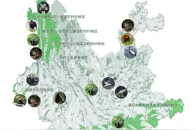 云南省国土空间规划（2021-2035年）公开征求公众意见稿图片