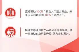 从拼多多财报看拼多多的农业理想图片