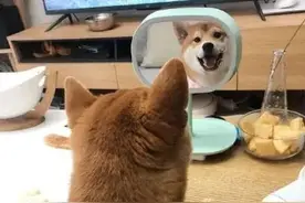 曝光！假货超一半！苏州不少人都在做……图片