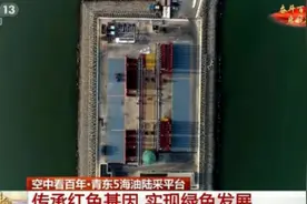 今日中国·山东篇丨「空中看百年」青东5海油陆采平台——传承红色基因 实现绿色发展图片