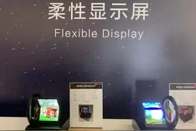 深天马涨停背后：上半年净利预增超五成 加码车载显示图片