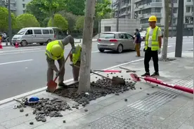 树木扶正器武汉“首秀”，30分钟扶正一株行道树视频封面