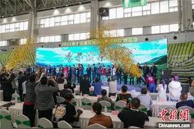 哈尔滨茶博会启幕：“南茶北上”共拓东北亚销区图片