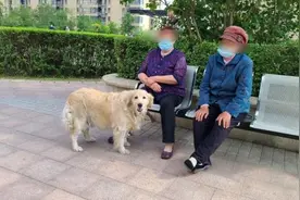 遛狗不拴绳小区内还挺多！可打110举报图片