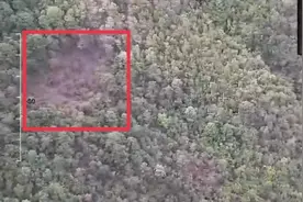云南“一路向北”象群仍在密林中，已启用大型无人机勘察跟踪视频封面