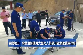 云南峨山：森林消防使用大型无人机展开亚洲象搜索行动视频封面