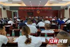 桑植县龙潭坪镇：深耕民生实事 勠力乡村振兴图片