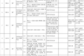 5月30日起，佛山28条公交线路实施临时调整图片