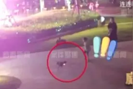 上海奶爸怒了！5岁儿子遭狗撵，主人硬杠：娃不跑，狗不追……图片