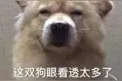 5岁儿子被狗追，主人硬杠：娃不跑，狗不追！上海爸爸怒告！法院判了图片