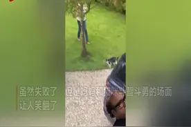 英国一女子拍妈妈叫猫咪回家画面 学猫走路软硬兼施图片