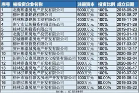 孙宏斌的西南战事图片