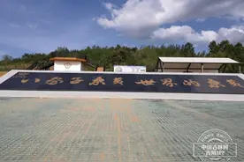 直播预告：啥叫“桑黄”？它又是如何在乡村振兴中发挥独特作用的？一起聚焦图片