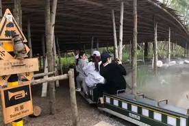 来一根花博定制冷饮、坐一回吉林园小火车、打卡“种子奇迹”……“六一”，去花博会这样遛娃图片