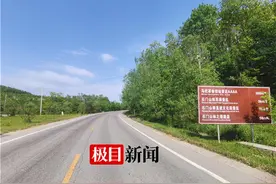实探陕西咸阳金钱豹出没地：多人目击，林业部门已展开搜索图片