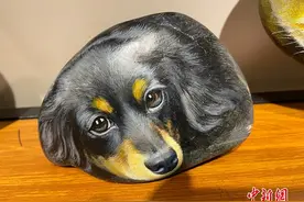 创意3D彩绘让黄河奇石灵动起来图片