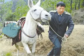 那个感动中国的邮递员走了图片