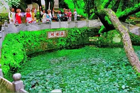 蝴蝶泉边：邂逅超越时代的古老爱情，浪漫与幸福触手可及图片