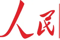 人民楼视丨实现数据“互联共享”上海住房公积金业务办理“跨省如同城”图片
