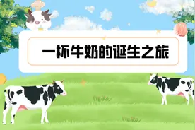 世界牛奶日丨探寻一杯牛奶的诞生之旅视频封面