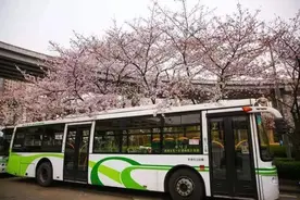 与您密切相关！这些市民可免费乘坐上海公交车、地铁等交通工具图片