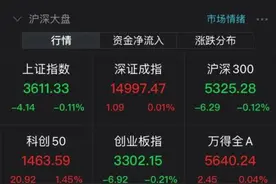 重磅突发！国际大行出手：调低A股万亿巨头评级，立马大跌！更有33秒涨停砸跌停，牛市旗手也大跌……图片