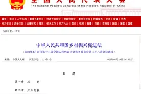 6月旅游出行新规“上线”，哪一项对你影响最大？图片