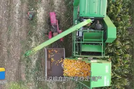 德州武城：农业生产托管服务项目兴起 378万元中央补助资金直达农户图片