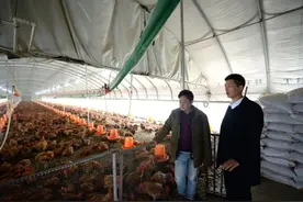 风采 | 聚焦河南省“90后”新任村书记——青春“肩膀”，挑起富民“金扁担”图片