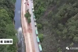 继续北上的象群，终于听话了？网友注意到一个有趣的现象图片