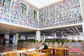 郑州一高校图书馆现“书墙”由数万本废旧图书砌成图片